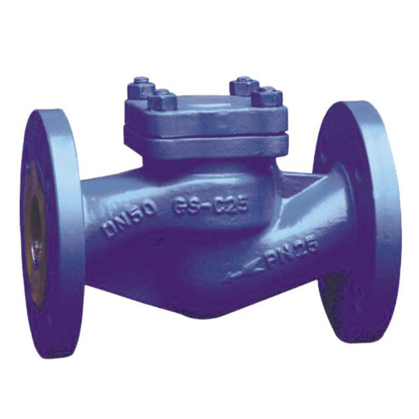 DIN Standard Check Valve